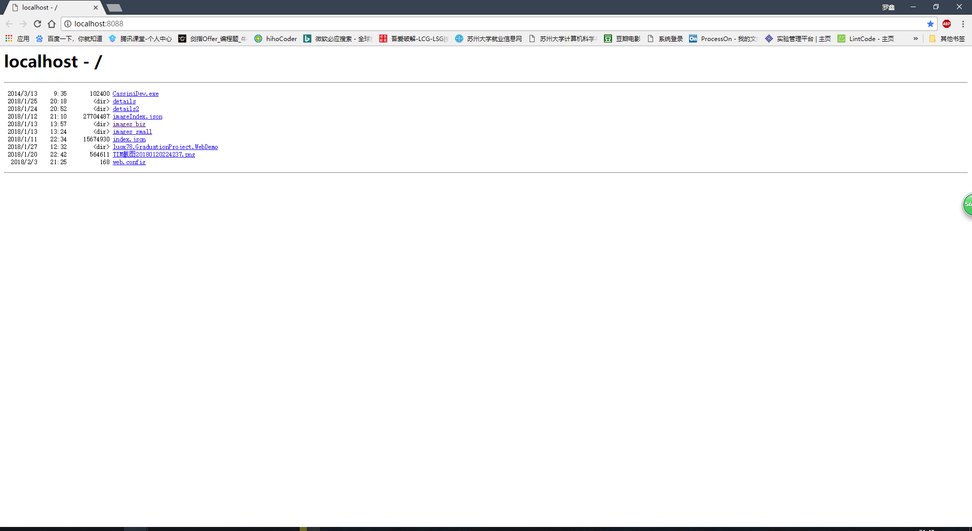 https://luox78.github.io/images/IIS04.png